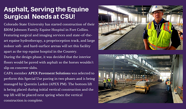 Apex Pavement Solutions - The Equine Surgical Needs at CSU
